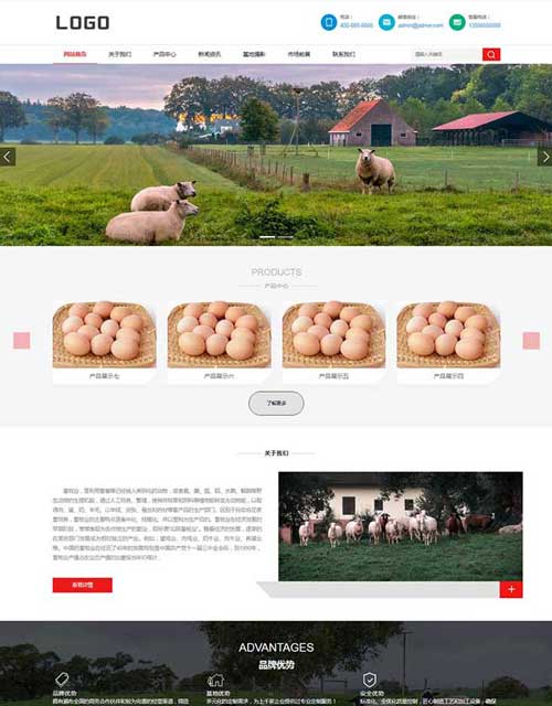 家禽养殖企业官方网站制作搭建模板网站开发